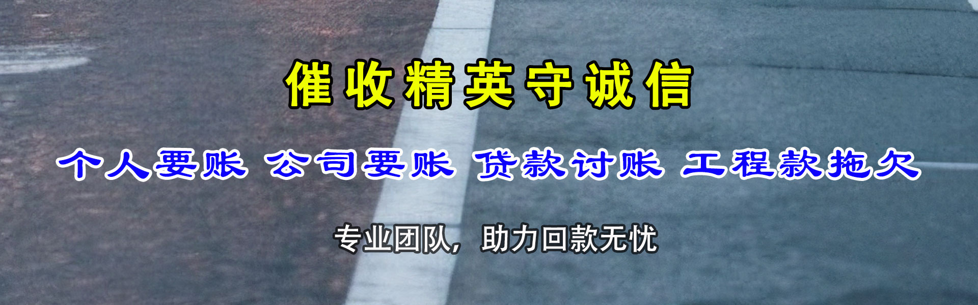 沙雅追账公司